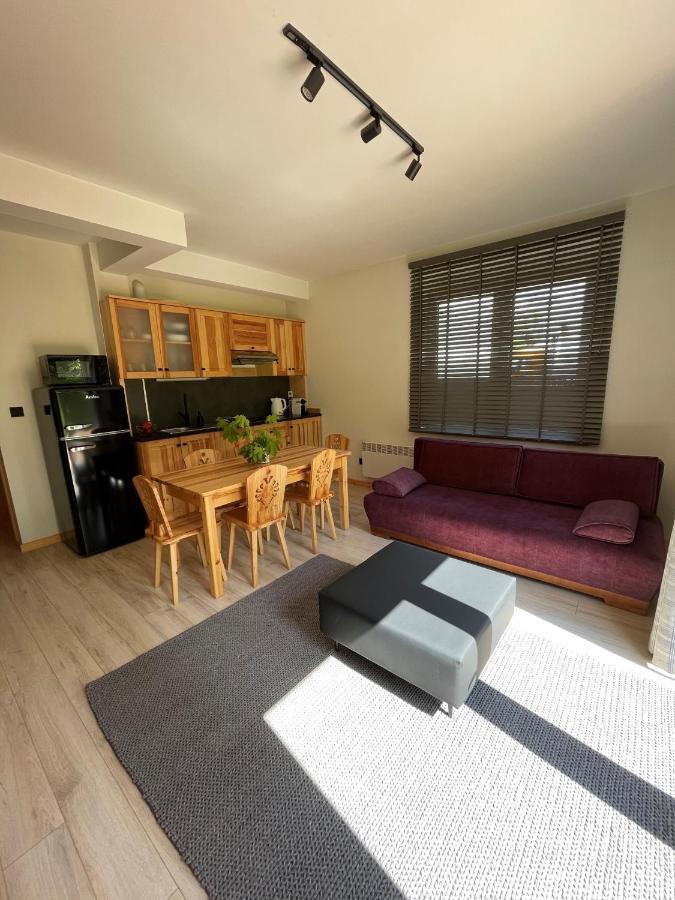 Apartament Zakopane Willa Hrube Parter Z Tarasem I Kominkiem ภายนอก รูปภาพ