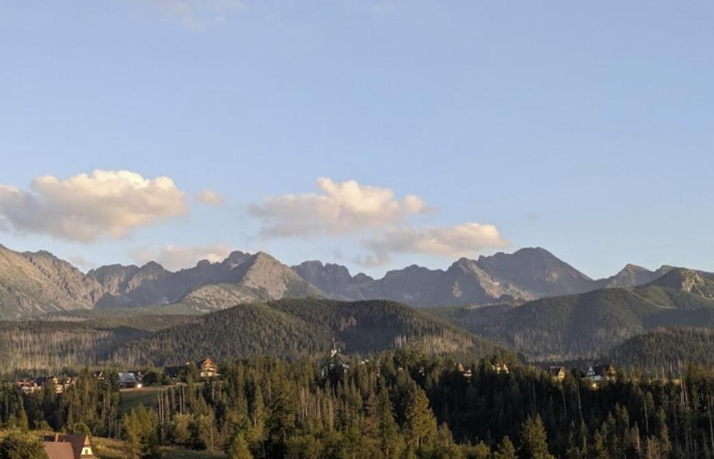 Apartament Zakopane Willa Hrube Parter Z Tarasem I Kominkiem ภายนอก รูปภาพ